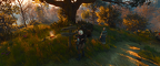 The Witcher 3 Super-Resolution 2025.02.15 - 12.35.09.88