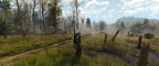 The Witcher 3 Super-Resolution 2025.02.15 - 07.29.45.93