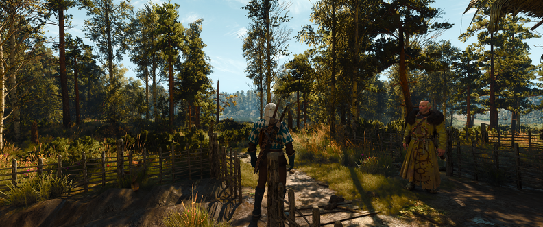 The Witcher 3 Super-Resolution 2025.02.14 - 03.54.51.43.png
