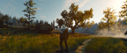The Witcher 3 Super-Resolution 2025.02.13 - 23.57.45.54