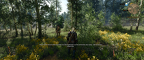 The Witcher 3 Screenshot 2025.02.13 - 05.09.01.57