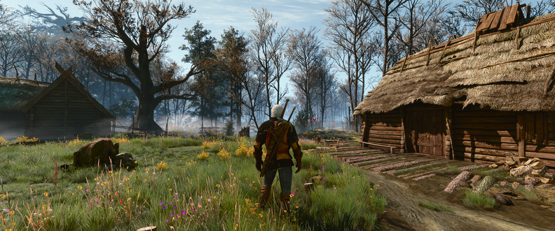 The Witcher 3 Super-Resolution 2025.02.17 - 09.52.37.16.png